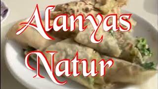 Alanya-Tükei die schönste Natur der Welt?