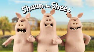  Shaun the Sheep: Naughty Pigs Antics! Best Bits Compilation for Kids! 