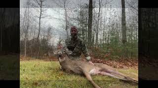 Another Bow Kill