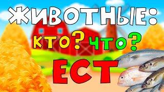 Что ЕДЯТ животные? Кто Что Ест? Развивающее видео для детей