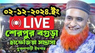  লাইভ চলছেদুবলাগাড়ী, শেরপুর  বগুড়া। আজকের মাহফিল বজলুর রশিদ Bozlur Roshid waz 2/12/2024