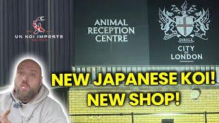 Unboxing Japanese Koi & A Sneak Peek at Our New Koi Shop Build - UK Koi Imports