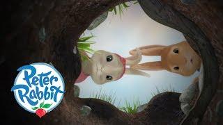 Peter Rabbit - The Disappearance of Benjamin | Cartoons for Kids