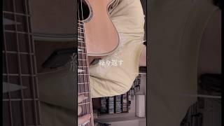 少女レイ / みきとP (弾き語りcover) #acoustic #shorts #ボカロ