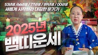 뱀띠 진짜 포텐터지는 2025년 l 2025년 뱀띠운세 #녹수부인당 #뱀띠운세 #대박나는띠 #띠별운세 #2025년운세 #띠운세 (녹수부인당,010-2974-8999)