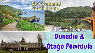 Best of Dunedin NZ |Travel Guide l Taieri Gorge l Tunnel Beach | Larnach Castle