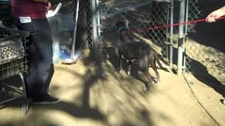A4760756 Riley and A4760751 Hope (in play area)