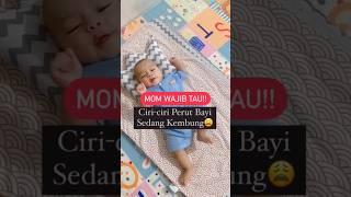 Ciri ciri perut bayi Kembung ‼️‼️