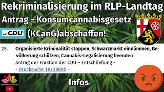 CDU für Aussetzung KCanG im Landtag Rheinland-Pfalz / Cannabis Rekriminalisierung gefordert! Infos