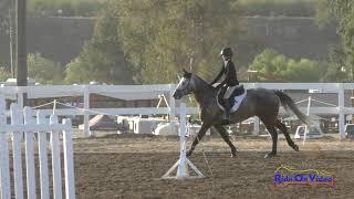 226S Gabrielle Chou on Sky Ryder Intro Show Jumping FCHP Oct. 2019