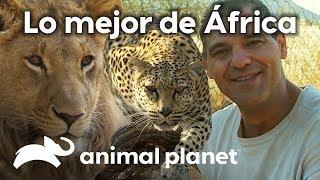 Las aventuras de Frank en África | Wild Frank en África | Animal Planet