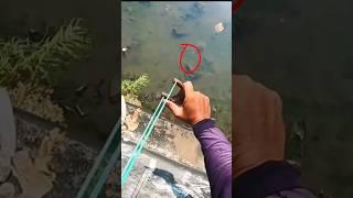 Ketapel ikan gabus monster heatshot langsung mati