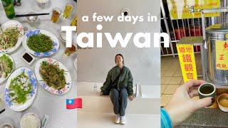 Taiwan VLOG  | a few days back in the motherland with family that hasn't been back in 10+ years