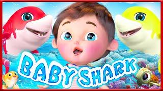 Baby Shark Dance + More  Banana Cartoon 3D Nursery Rhymes Baby & Kids Songs [HD] 