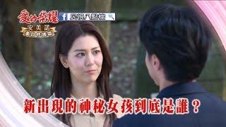 《愛的榮耀》EP269預告丨Glory of Love