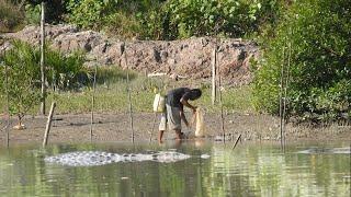 Ngeri sambaran buaya!!! Muara pangkalbalam