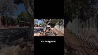Беспилотное такси в Лос Анджелесе