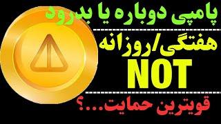 تحلیل ارز نات کوین | آیا ناتکوین پامپ می شود؟ | حرکت مهم ارز NOT چیست؟