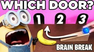 Where Will The Ball Go? Kid's STEM Brain Break Challenge