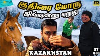  இங்க எல்லாமே குதிரை தான் |  kazakhstan EP5