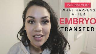 What Happens to the Embryo After Embryo Transfer? IVF/ICSI VLOG
