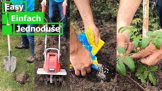 How to stake tomatoes and a preparation and install garden bed