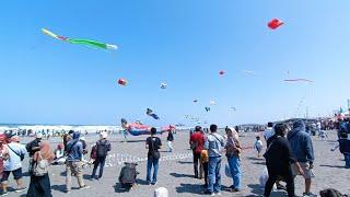 LIVE JOGJA INTERNATIONAL KITE FESTIVAL 2024 DI PANTAI PARANGKUSUMO