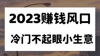 最新灰色网赚赚钱项目分享 这是一个适合新手赚钱的网上赚钱项目 每天2小时 月入3-20W 新手小白可直接上手赚钱！