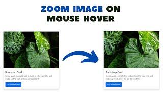 How To Zoom Image On Hover | HTML and CSS only | Swapnil Codes