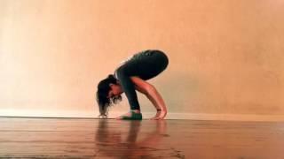 Tittibhasana Tutorial