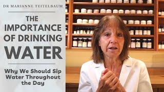 The Importance of Drinking Water | Why We Should Sip Water Throughout the Day