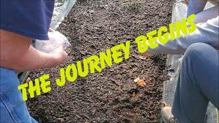 Planting The New Victory / Kitchen Garden