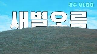 제주도에서 가장 핫한 오름은 어디? | 새별오름 나홀로나무 왕따나무