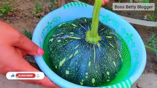 my garden tour | Boss Betty Blogger| garden diy | houseplant collection | terrace garden | my plants