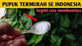 Pupuk mahal!!! Coba cara ini | cara membuat pupuk sendiri | Oprek Gambleh