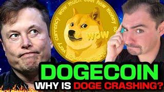 Why Is Dogecoin CRASHING? (DOGE PRICE ALERT!) Dogecoin Price Prediction VS Bitcoin