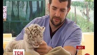 В Одесі ветеринар біопарку самостійно виховує екзотичну тварину