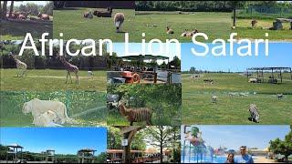 African Lion Safari, Ontario, Canada | Things to do around Toronto, GTA |