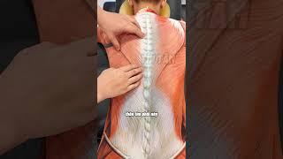 NHẬN BIẾT SỨC KHỎE TỪ CÁC VỊ TRÍ ĐAU VÙNG LƯNG #tintam #trilieutintam #trending #xuhuong