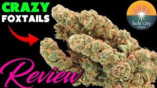 Type 2 Pink Rainbowz and Diesel Fruitcake CBD Flower from Holy City Farms! | CBD Hemp Flower Review