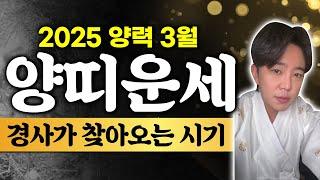 2025 양력 3월 양띠 운세