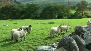 ENGLAND James Herriot country revisited (hd-video)