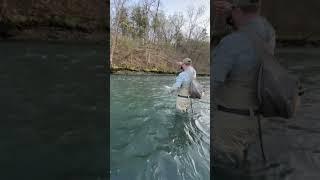 Trout Fishing Arkansas #flyfishing #fishing #fishingfreaks #fyp #trout