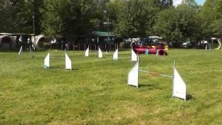 Sybille & Asha   Spiel 1+2   Untergruppenbach am 14 5 2017