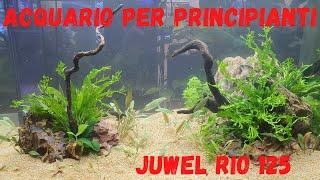 Il tuo PRIMO ACQUARIO - allestimento facile per principianti - Juwel Rio 125