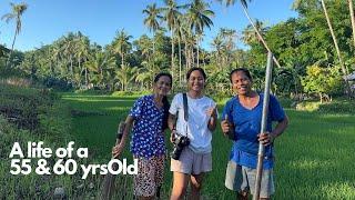 My Parents Daily Routine in the Countryside - Nature Sound (ASMR) Typical Filipino-Bisaya Household