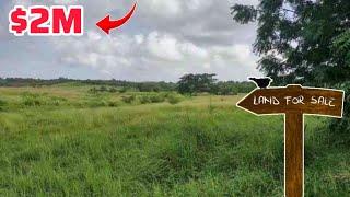 Cheap land for sale in Jamaica.  Large Land being sold for affordable 2M