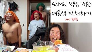 메이플빵 asmr먹방 찍으려는 자 VS 방해하는 자 / 띠부씰