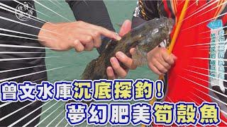 曾文水庫陡峭釣場!!密探肥美筍殼魚《世界第一等》1050精華版