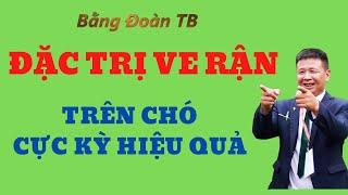 ĐẶC TRỊ VE RẬN TRÊN CHÓ CỰC KỲ HIỆU QUẢ / Bằng Đoàn TB